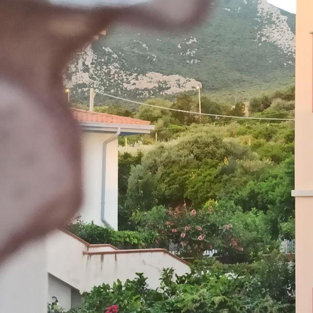 Haiku Home Cala Gonone Exterior photo